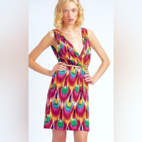 Alice + Olivia Alameda Ikat Printed Sheath Mini Dress - Picture 4 of 10